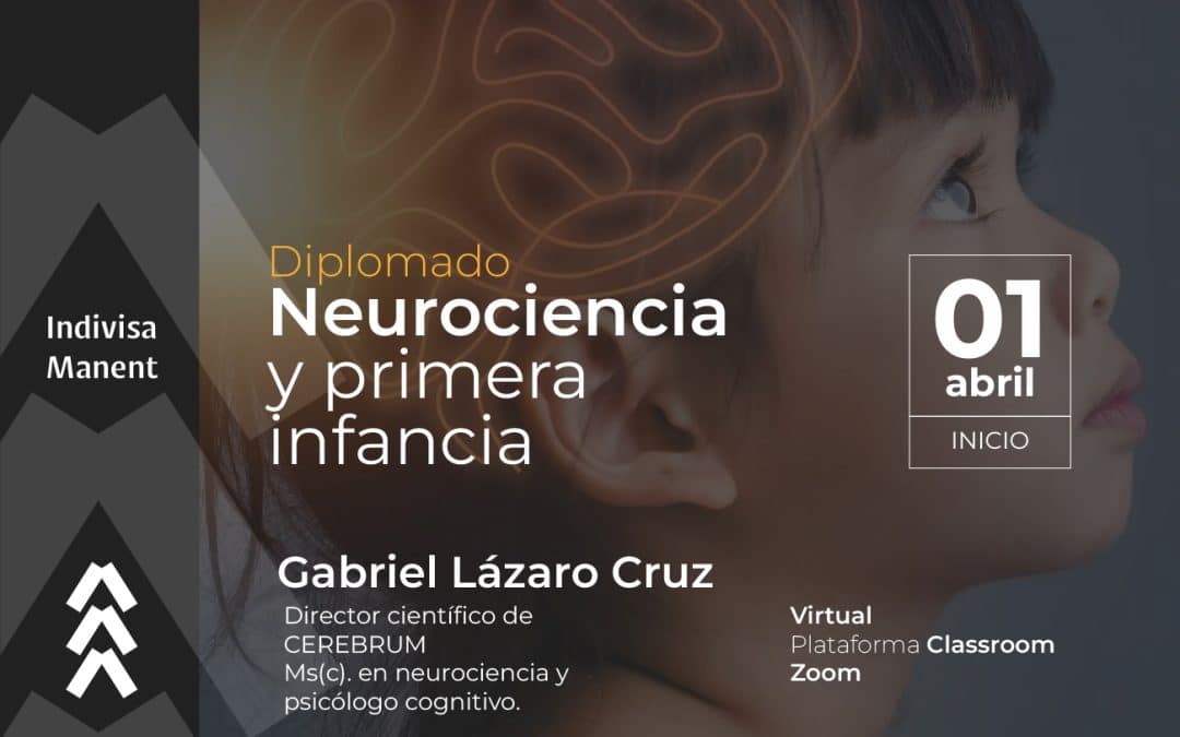 Diplomado en Neurociencia y primera infancia