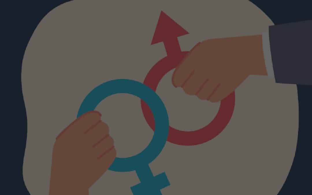 Webinar: Igualdad de género sin fronteras