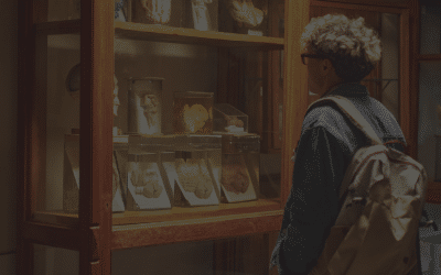 IX Diplomado Internacional de Museología